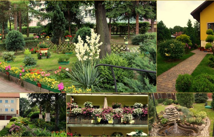 W ogrodzie dzierżoniowskiego muzeum przedstawiono wyniki tegorocznego konkursu  „Piękno kwiatów i zieleni wokół nas”. 