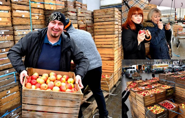 21 ton jabłek trafiło do dzierżoniowskich placówek oświatowych, jednostek podległych oraz stowarzyszeń i klubów sportowych dzięki wrocławskiej Fundacji Potrafię Pomóc. 