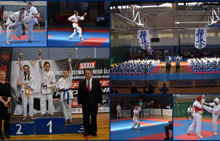 Srebrny i cztery brązowe medale przywieźli karatecy Dzierżoniowskiego Klubu Sportowego Karate Kyokushin z XXXIX Mistrzostw Makroregionu Dolnośląskiego oraz Międzywojewódzkich Mistrzostw Młodzików. Odbyły się one 17 marca w hali sportowej w Wołowie. W zawodach wzięło udział 172 uczestników z 23 klubów.