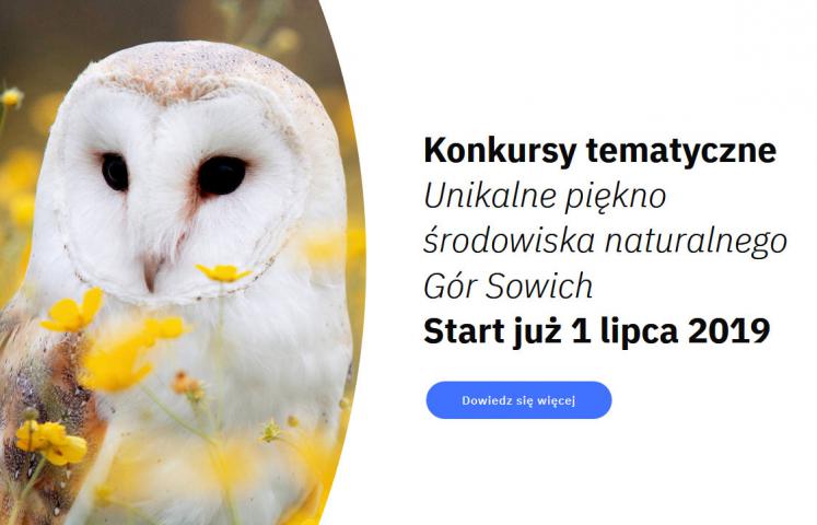 Już 1 lipca startują konkursy dla uczniów szkół podstawowych i ponadpodstawowych pn. "Unikalne piękno środowiska naturalnego Gór Sowich" o łącznej puli nagród przekraczającej 20 tys. zł.