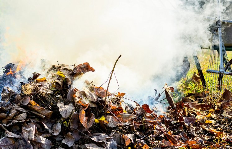 Październik i listopad to dla wielu z nas początek prac porządkowych w przydomowych ogródkach i ogrodach działkowych. Rozpoczynając te prace warto pamiętać, że spalanie pozostałości roślinnych oraz innych odpadów jest nieekologiczne i szalenie groźne. 