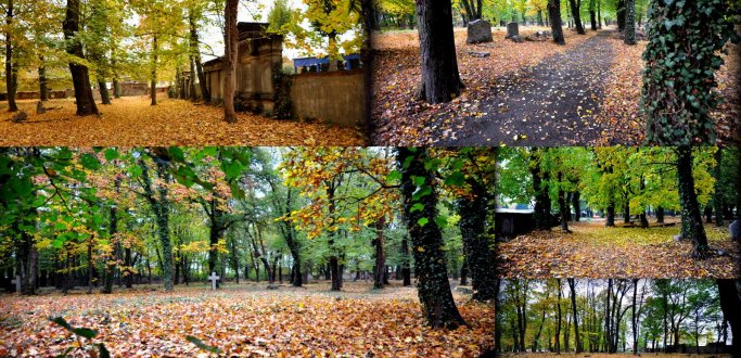 To przestrzeń doskonale nadająca się na park, w którym można odetchnąć od zgiełku. W tym celu chcemy otworzyć je dla mieszkańców. Ławeczki, alejki i minimalna ingerencja w zieleń, z zachowaniem pamięci i szacunku do historii tego miejsca. 