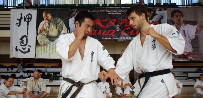 http://kyokushin-dzierzoniow.pl/krzysztof-piotr-kacepr-i-wiktor-na-iko-summer-camp-w-lublinie/