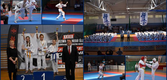 Srebrny i cztery brązowe medale przywieźli karatecy Dzierżoniowskiego Klubu Sportowego Karate Kyokushin z XXXIX Mistrzostw Makroregionu Dolnośląskiego oraz Międzywojewódzkich Mistrzostw Młodzików. Odbyły się one 17 marca w hali sportowej w Wołowie. W zawodach wzięło udział 172 uczestników z 23 klubów.