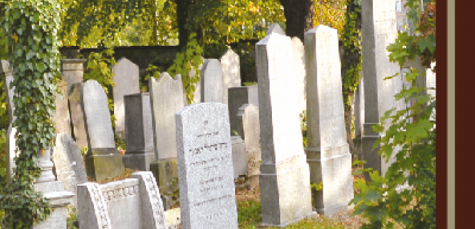 8 czerwca w Muzeum Miejskim Dzierżoniowa odbędzie się promocja książki dr Beaty Hebzdy-Sołogub poświęconej cmentarzowi żydowskiemu w Dzierżoniowie.