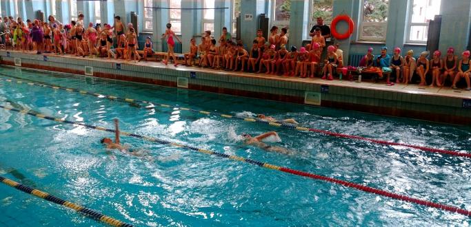 Blisko 200 uczniów z roczników 2005-2010, reprezentujący 5 dzierżoniowskich szkół podstawowych rywalizowało na dystansie 25 m lub 50 m podczas dorocznych zawodów pływackich.  Młodzi pływacy konkurowali w dwóch stylach: grzbietowym i dowolnym. Sprawdź, kto był najlepszy w swojej kategorii.