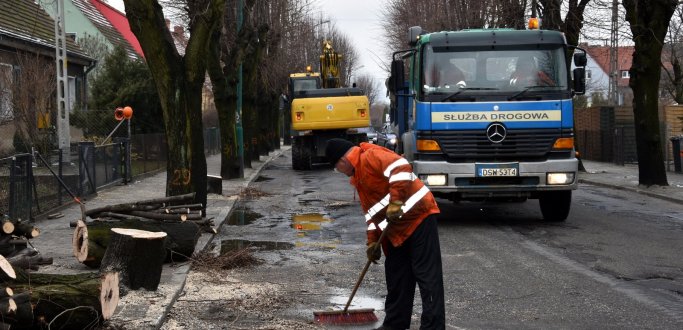 Przy ul. Staszica wycinane są teraz wyłącznie drzewa chore. Trwające prace poprzedzono badaniami dendrologicznymi. W wydawaniu decyzji umożliwiającej wycinkę uczestniczyła m.in. Regionalna Dyrekcja Ochrony Środowiska. Decyzja o pozostałych zapadnie w najbliższych tygodniach. Jakie są możliwe scenariusze?