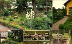 W ogrodzie dzierżoniowskiego muzeum przedstawiono wyniki tegorocznego konkursu  „Piękno kwiatów i zieleni wokół nas”. 
