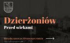 Projekt "Dzierżoniów. Przed wiekami 3D - wirtualny spacer" to pierwszy w Polsce na tak dużą skalę wierne odtworzenie dawnego wyglądu najstarszej miasta, z wykorzystaniem najnowszych technologii komputerowych. XIX-wieczny Dzierżoniów zbudowano z zachowaniem dbałości o detale architektoniczne, na podstawie ponad 1,5 tys. archiwalnych zdjęć, rycin, pocztówek oraz licznych opisów historycznych. 