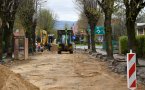 Część drzew stojących wzdłuż ul. Staszica będzie wycięta, zaraz po zakończeniu przebudowy drogi wykonane zostaną nowe nasadzenia. Chodzi o drzewa po prawej stronie jezdni (jadąc od Ronda Czeskiego). W tym miejscu przebiegać będą wszystkie sieci techniczne. 