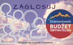 Za nami pierwszy dzień głosowania na projekty zgłoszone do Dzierżoniowskiego Budżetu Obywatelskiego 2017. Pierwszego dnia zagłosowało ponad 1000 osób. Dzierżoniowianie pokazali, że zależy im na naszym mieście i chcą współuczestniczyć w decydowaniu o jego rozwoju. Mieszkańcy mogą głosować na wybrane projekty jeszcze do 2 czerwca. Do wyboru jest 18 propozycji.